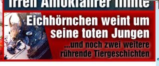 Das Arme..., Quelle: bild.de